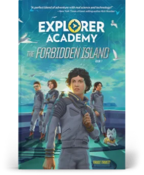 Book 6